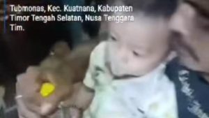 Ayah Di Ntt Paksa Bayi 11 Bulan Minum Miras Sopi Polisi Turun Tangan