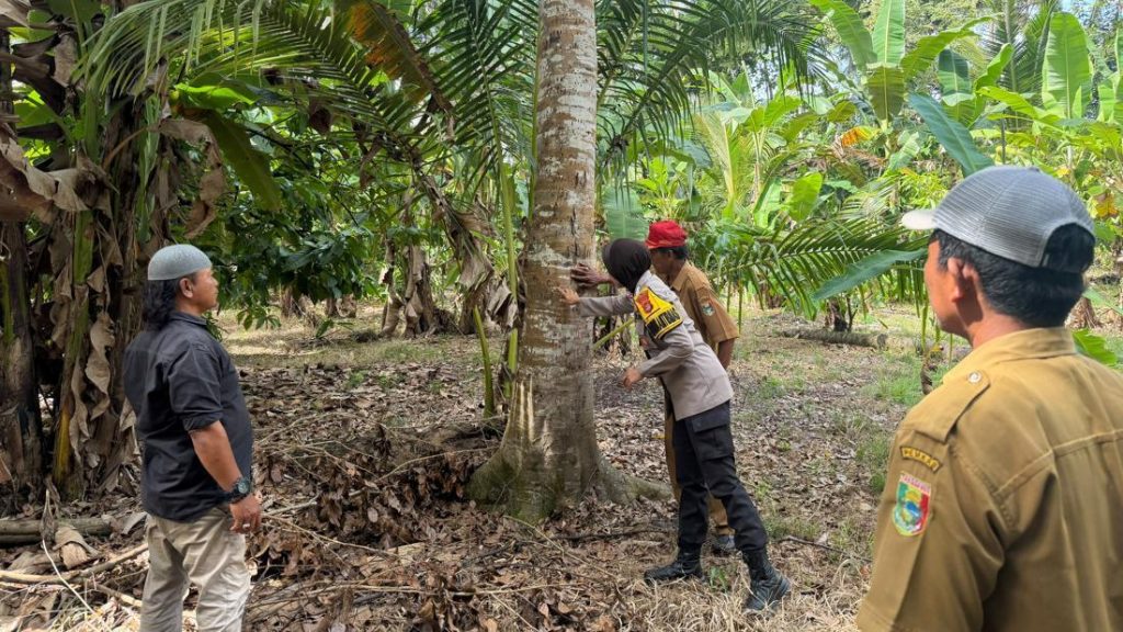 Beruang Muncul Di Kebun Lampung Warga Dibuat Panik