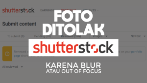 Mengapa Foto Anda Ditolak Kurator Shutterstock Panduan Lengkap Dan Solusi Bisnis Microstock
