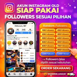 Mengapa Harga Jual Akun Instagram Sangat Fluktuatif Analisis Valuasi Aset Digital